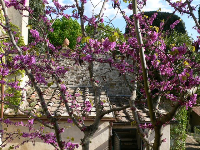 Easter break in Tuscany at Villa Le Barone in Panzano in Chianti: do not miss this Easter deal!