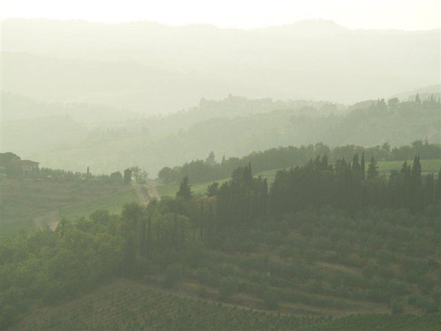 Foggy Chianti hills - Cecilia Betancourt 