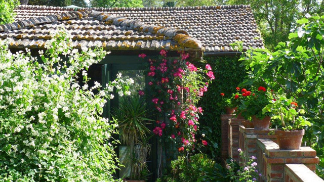Villa le Barone: one of the garden with mock, roses, geranium ... 
