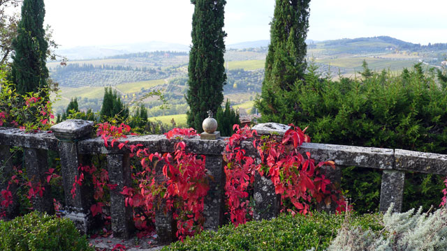 View on cypresses from Villa le Barone's heart terrace in Chianti 