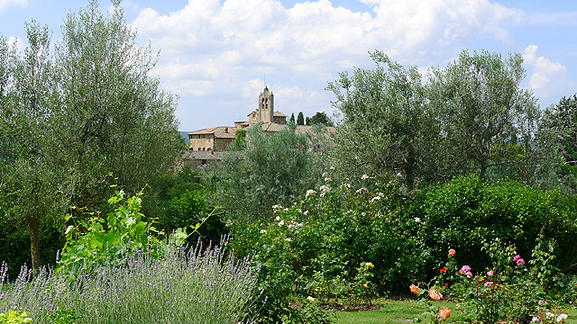 Perfumes and views at Villa le Barone Tuscany 