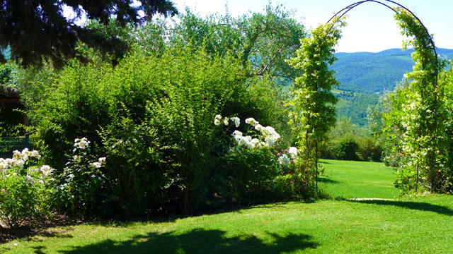 A corner of Villa le Barone's gardens in Chianti